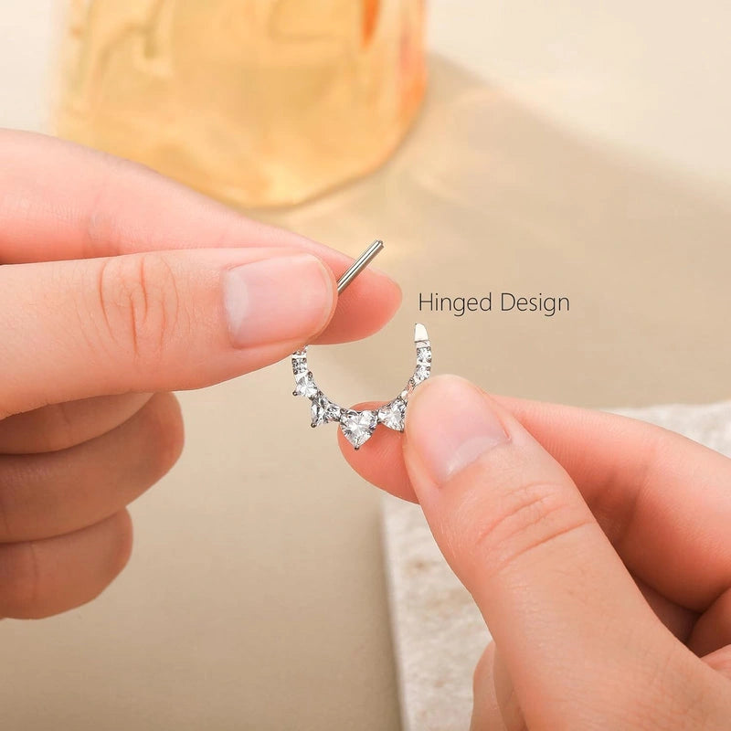 14G Titanium Hinged Segment Clicker D-Shaped Nipple Rings